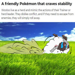 ambiguous_gender black_body bodily_fluids crying dust_cloud eyes_closed field frown fur grass open_frown open_mouth photo_background pigtails pink_nose plant rolling sky solo tears text white_body white_fur white_wool wool_(fur) bowen_the_sheep nintendo pokemon bovid caprine generation_8_pokemon mammal pokemon_(species) wooloo 1:1 2019 english_text hi_res photography_(artwork)
