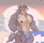 anthro barbell_piercing biped bulge clothing dark_nipples evening fur grey_body grey_fur grey_hair hair male male_anthro muscular muscular_anthro muscular_male nipples piercing sand sea solo speedo sun surfboard swimwear tan_body tan_fur water majestictweive morenatsu kouya_(morenatsu) canid canine canis domestic_dog husky mammal nordic_sled_dog spitz 2024 hi_res