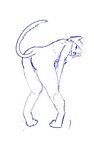 anthro bent_over female solo cooshoo domestic_cat felid feline felis mammal absurd_res blue_and_white hi_res monochrome sketch