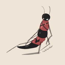 2_penises antennae_(anatomy) anthro black_body black_penis erection exoskeleton eye_scar facial_scar genitals glistening glistening_body grumpy male multi_genitalia multi_penis penis red_body relaxing resting scar sitting solo wedge hatofuldeer hollow_knight_(franchise) team_cherry fan_character arthropod 1:1 digital_media_(artwork) hi_res sketch