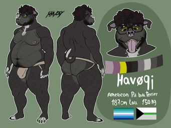 anthro beard clothed clothing eyewear facial_hair facial_scar glasses hairy jockstrap jockstrap_only male multiple_piercings piercing scar solo topless underwear underwear_only wearing_glasses havhavoc havoc_(havhavoc) american_pit_bull_terrier canid canine canis domestic_dog hunting_dog mammal pit_bull terrier absurd_res hi_res model_sheet