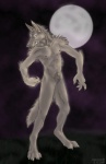 anthro crotch_tuft fur hormone_replacement_therapy inframammary_scar male mastectomy_scar moon nipples pubes scar simple_background solo syringe tail testosterone tuft visibly_trans trannywolf mythology canid canine canis mammal mythological_canine mythological_creature werecanid werecanine werecreature werewolf wolf 2007 trans_(lore) trans_man_(lore)