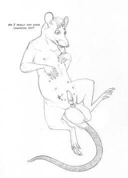 14_nipples balls big_balls erection feral fur genitals hair herm intersex lying multi_nipple nipples on_back penis solo spread_legs spreading tail tattoo text vulva whiskers arania the_cabin_in_the_woods_(arania) piper_(tcitw) mammal murid murine rat rodent english_text hi_res monochrome