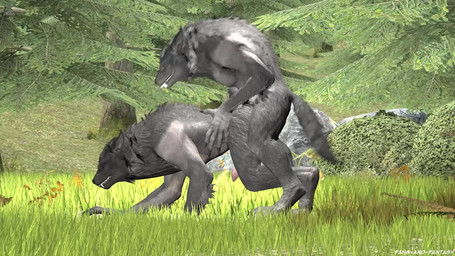 all_fours anal anal_penetration anthro anthro_on_anthro anthro_penetrated anthro_penetrating anthro_penetrating_anthro ball_slap balls balls_deep biped bouncing_balls bouncing_penis claws doggystyle duo erection fluffy fluffy_tail forest from_behind_position fur genitals grass humanoid_genitalia humanoid_penis male male/male male_penetrated male_penetrating male_penetrating_male multiple_angles muscular muscular_anthro muscular_bottom muscular_male muscular_on_muscular muscular_top outside outside_sex penetration penile penile_penetration penis penis_in_ass plant sex slap tail teeth tree fang-and-fantasy sound_warning mythology skyrim_werewolf canid canine mammal mythological_canine mythological_creature werecanid werecanine werecreature werewolf 16:9 3d_(artwork) 3d_animation animated digital_media_(artwork) hi_res high_framerate huge_filesize short_playtime sound source_filmmaker_(artwork) video widescreen