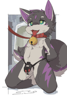 anthro bathroom bell bell_collar black_body bodily_fluids chastity_cage chastity_device collar cum cum_drip cum_on_face cum_on_ground dripping flaccid genital_fluids genitals green_eyes hands_behind_back kemono kneeling leash leashed_collar male penis public_restroom solo submissive three-quarter_view tongue tongue_out urinal young 1tea2cha canid canine fox mammal hi_res