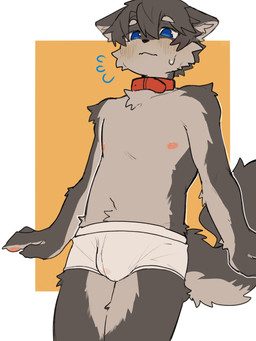 anthro black_hair blue_eyes blush boxer_briefs briefs brown_body bulge clothed clothing collar countershade_torso countershading fluffy fluffy_tail hair kemono male multicolored_body navel red_collar simple_background solo standing tail underwear underwear_only white_boxer_briefs white_clothing white_underwear mintza_bo canid canine mammal 2025 3:4 absurd_res hi_res
