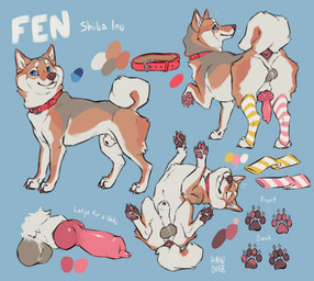 animal_genitalia animal_penis anus backsack balls blue_eyes brown_body brown_fur brown_nose brown_pawpads canine_genitalia canine_penis claws closed_sheath_slit clothing collar collar_only curled_tail darkened_balls darkened_genitalia erection eyes_closed feral fully_sheathed fur genitals grey_balls knot knotted_penis leg_warmers legwear lying male male_feral multicolored_pawpads nude on_back pawpads penis pink_anus pink_pawpads pink_penis pink_sheath_slit raised_tail red_collar sheath sheath_slit smile solo tail tail_anus toe_claws urethra urethra_tip white_claws white_tail hakudoge fen_(hakudoge) canid canine canis domestic_dog mammal shiba_inu spitz hi_res model_sheet