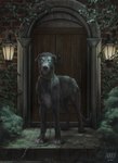 ambiguous_gender black_nose blue_eyes feral fur grey_body grey_fur solo aurru canid canine canis domestic_dog hunting_dog irish_wolfhound mammal sighthound 2021 digital_media_(artwork) hi_res