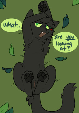 black_body black_fur dialogue female feral fur genitals glare green_eyes holly_(plant) leaf looking_at_viewer lying on_back on_ground open_mouth pawpads paws plant solo stretching teeth text vulva freckledcoat warriors_(book_series) hollyleaf_(warriors) domestic_cat felid feline felis mammal english_text hi_res