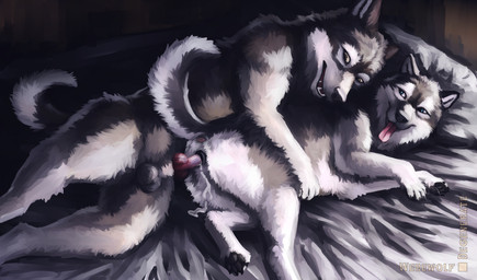 animal_genitalia animal_penis animal_vulva anthro anthro_on_feral anthro_penetrating anthro_penetrating_feral anus balls bed bedding bedroom bedroom_sex bestiality black_pawpads blanket blue_eyes bodily_fluids breath brown_eyes canine_genitalia canine_penis canine_vulva claws cum cum_from_vagina cum_in_vagina cum_inside duo erection female female_penetrated feral feral_penetrated fur furniture genital_fluids genitals grey_body grey_fur happy inside intraspecies intraspecies_bestiality knot leaking_cum looking_at_another lying male male/female male_on_feral male_penetrating male_penetrating_female multicolored_body multicolored_fur nude on_bed on_side open_mouth panting pawpads paws penetration penile penile_penetration penis penis_in_vagina pillow realistic_feral sex tail teeth text tongue tongue_out two_tone_body two_tone_fur vaginal vaginal_penetration vulva white_body white_fur yellow_sclera werewolfdegenerate canid canine canis domestic_dog husky mammal nordic_sled_dog spitz absurd_res artist_name digital_media_(artwork) digital_painting_(artwork) hi_res painting_(artwork) signature