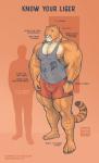 anthro areola big_bulge big_muscles blue_eyes bottomwear bulge clock clothing comparison huge_muscles hyper hyper_muscles larger_male male markings muscular muscular_anthro muscular_male nipples pecs shirt shorts silhouette simple_background size_difference smaller_male solo tank_top text thick_thighs topwear vein watch purrcules_(artist) purrcules_(character) felid human hybrid liger lion mammal pantherine tiger 2016 english_text hi_res model_sheet