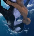 2016 anthro bald big_breasts black_body black_skin breast_squish breasts cetacean cuddling dolphin duo eyes_closed female hand_on_butt hattonslayden hi_res human human_on_anthro interspecies kissing larger_female male male/female mammal marine multicolored_body multicolored_skin nude oceanic_dolphin orca size_difference smaller_male squish swimming tongue toothed_whale two_tone_body two_tone_skin underwater water white_body white_skin