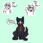 animal_genitalia anthro anthro_to_feral black_body black_fur collar crouching ear_transformation eyewear fur genitals glasses male sheath solo species_transformation tongue tongue_out transformation transformative_collar grovesetter canid canine equid equine horse mammal sequence