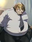 anthro blush bottomwear clothing eyewear glasses kemono male necktie overweight overweight_male pants shirt solo topwear emufu canid canine canis domestic_dog mammal 2025 3:4 hi_res