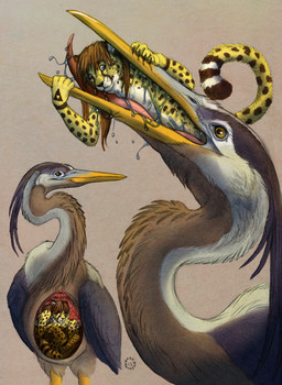 ambiguous_gender ambiguous_pred anthro anthro_prey beak blue_eyes bodily_fluids brown_hair clawing claws drooling esophageal_sphincter feathers feet_first feral feral_pred grey_body hair inside_stomach internal long_beak long_neck male male_prey nude_male open_beak open_mouth oral_vore organs partially_inside plumage saliva saliva_on_fur scared stomach stomach_acid swallowing triforce triforce_symbol vore wings x-ray_view yellow_beak yellow_body yellow_eyes dark_natasha nintendo the_legend_of_zelda kibacheetah avian bird cheetah felid feline heron mammal pelecaniform 2012 signature traditional_media_(artwork)