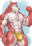 abs anthro biped black_nose bulge cheek_tuft chest_tuft claws closed_smile clothed clothed_anthro clothed_male clothing eyebrows facial_tuft finger_claws fingers flexing flexing_bicep fur glistening glistening_body looking_at_viewer male male_anthro mouth_closed multicolored_body multicolored_fur multicolored_tail muscular muscular_anthro muscular_male navel nipples pecs pink_nipples pointy_ears red_body red_fur red_tail simple_background smile solo tail teeth tuft underwear underwear_only white_body white_eyebrows white_fur white_inner_ear white_tail yellow_clothing yellow_eyes yellow_underwear kemonokoko canid canine canis mammal wolf 2023 absurd_res digital_media_(artwork) hi_res