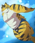 anthro barazoku clothing humanoid_hands kemono male muscular muscular_male navel nipples pecs solo swimwear white_body yellow_body ayame42612 morenatsu torahiko_(morenatsu) felid mammal pantherine tiger 2014