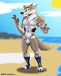 3_toes anthro beach briefs bulge clothing cloud ear_piercing ear_ring feet gesture hand_gesture ily_sign looking_at_viewer male outside piercing plantigrade ring_piercing sea seaside solo star sun text toes tongue tongue_out underwear water yellow_sclera m.mcallister88 epic_games fortnite wendell_(fortnite) canid canine canis mammal wolf 2023 digital_drawing_(artwork) digital_media_(artwork) english_text hi_res signature