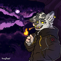 anthro clothing drugs fangs fur gold_(metal) gold_tooth hoodie marijuana moon night sharp_teeth teeth tongue topwear white_body white_fur yellow_eyes drowsypuppy canid canine mammal 1:1 absurd_res hi_res