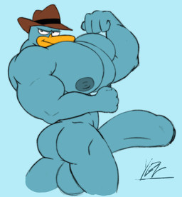 big_muscles big_penis genitals huge_muscles huge_penis hyper hyper_genitalia hyper_muscles hyper_penis male muscular penis solo yaboivanillo disney phineas_and_ferb perry_the_platypus mammal monotreme platypus hi_res