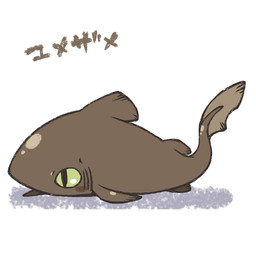 ambiguous_feral ambiguous_gender blush blush_stickers chibi dorsal_fin feral fin gills green_eyes lying on_front pectoral_fin pupils raised_tail shadow side_view slit_pupils solo tail tail_fin text mukomizu_kintora aquatic fish portugese_dogfish shark sleeper_shark squaliform 2014 full-length_portrait japanese_text portrait