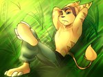 anthro barefoot bottomwear brown_stripes chest_tuft clothed clothing eyebrows feet fur grass green_eyes hands_behind_head light male pants plant plantigrade sitting solo striped_body striped_fur stripes sunlight tail tail_tuft topless tuft yellow_body yellow_fur crescentnocturn ratchet_and_clank sony_corporation sony_interactive_entertainment ratchet_(ratchet_and_clank) lombax mammal 2024 hi_res