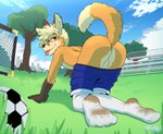 all_fours anthro backsack ball balls blep bottomwear butt clothing dirty dirty_clothing dirty_socks footwear genitals grass looking_at_viewer looking_back looking_back_at_viewer male outside plant presenting presenting_hindquarters public public_nudity raised_tail shorts smile soccer_ball soccer_field socks solo tail tongue tongue_out young frostedchase tycloud canid canine fox mammal absurd_res hi_res