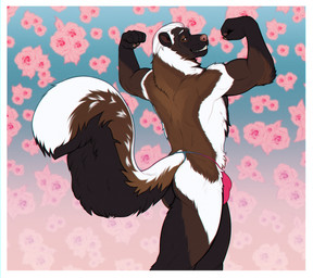 anthro back_muscles black_body black_fur brown_body brown_fur bulge clothed clothing flexing flexing_bicep flexing_both_biceps fluffy fluffy_tail fur hair looking_at_viewer male male_anthro muscular muscular_anthro muscular_male simple_background smile solo tail teeth thong thong_only topless topless_anthro topless_male underwear underwear_only whiskers white_body white_fur white_hair homogenousrule roberto_(thetamule) mammal mephitid skunk 2024 hi_res