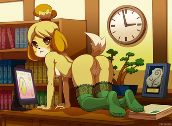 all_fours anthro bent_over black_eyes blonde_hair blush breasts butt clock clothed clothing desk female footwear fur furniture genitals hair legwear looking_at_viewer looking_back on_desk presenting presenting_hindquarters raised_tail rear_view socks solo table tail topless vulva yellow_body yellow_fur jizzpope animal_crossing nintendo isabelle_(animal_crossing) canid canine canis domestic_dog mammal shih_tzu toy_dog 2013