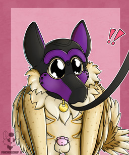 animal_mask anthro bdsm chastity_cage chastity_device collar kneeling leash leash_pull leashed_collar male mask nub_chastity_cage petplay pup_mask puppyplay roleplay winged_arms wings panchokechup rye_owl_(character) avian bird owl 5:6 absurd_res hi_res