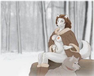anthro boots breasts clothing coat collar female feral footwear forest fur log nipples plant shoes sitting snow topwear tree wood adonis canid canine canis mammal wolf 2010