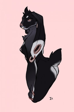 anthro barbell_piercing bedroom_eyes belly_nipples bisque_(interkos) black_body black_fur butt cheek_tuft chest_tuft circle_eyebrows circular_barbell_piercing claws dipstick_ears ear_markings ear_piercing ear_ring eyebrows facial_piercing facial_tuft female floppy_ears fur gauged_ear gradient_markings grey_markings hand_on_leg hand_on_thigh head_tuft leaning leaning_forward looking_at_viewer looking_back lop_ears markings multicolored_ears multiple_piercings narrowed_eyes nipples nose_piercing nose_ring nude piercing pink_background pink_claws pink_eyes pink_nipples pink_nose ring_piercing rose_gold seductive septum_circular_barbell septum_piercing short_tail simple_background sketchy slim solo tail tuft white_butt white_ear_tips white_eyebrows white_markings interkos lagomorph leporid mammal rabbit 2023 half-length_portrait hi_res portrait nonbinary_(lore) trans_(lore)