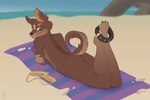 ambiguous_gender anthro clothing collar solo speedo swimwear sevenserenity canid canine canis domestic_dog mammal hi_res