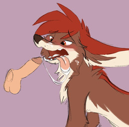 anthro balls blush bodily_fluids cum cum_in_mouth cum_inside cum_string disembodied_penis duo erection genital_fluids genitals glans human_on_anthro humanoid_genitalia humanoid_penis interspecies male male/male oral penis solo_focus anonymous_artist canid canine canis human hybrid mammal wolfdog hi_res