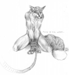 anthro bdsm be_gentle bondage bound claws dipstick_tail fur looking_at_viewer male markings master nude ownership rope simple_background slave solo submissive submissive_male tail tail_markings text whiskers white_background blotch canid canine fox mammal 2009 english_text hi_res monochrome sketch traditional_media_(artwork)