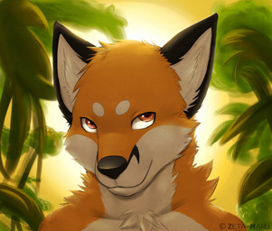 afternoon anthro black_nose brown_eyes countershading forest fur jungle light looking_up male orange_body orange_fur outside plant solo spots sunlight sunset tree white_body white_fur zeta-haru canid canine fox mammal 2013