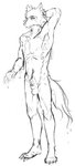 animal_genitalia anthro armpit_hair balls body_hair facial_tuft fully_sheathed fur genitals hand_behind_head male raised_arm sheath simple_background solo tail_down tuft white_background psygo beastars legoshi_(beastars) canid canine canis mammal wolf black_and_white monochrome sketch