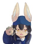 alex_the_narehate anthro clothing colored ears_up gesture hand_gesture hat headgear headwear hi_res jacket made_in_abyss maiconsandey male narehate pointing simple_background smile solo topwear whiskers