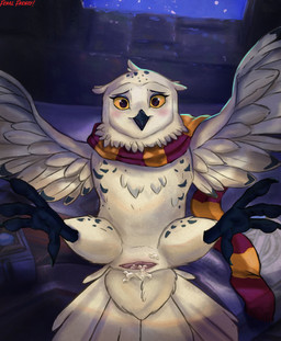 animal_genitalia beak blush bodily_fluids cloaca cloaca_juice cloaca_juice_on_cloaca cloaca_juice_on_own_cloaca clothing feathers feet female feral genital_fluids genitals gryffindor looking_at_viewer mostly_nude partially_clothed_feral scarf solo tail talons toes white_body white_feathers wings eri feral_frenzy harry_potter_(series) hedwig_(harry_potter) avian bird horned_owl mammal owl snowy_owl true_owl hi_res