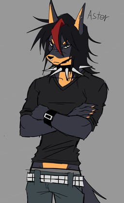 5_fingers alternative_fashion anthro belt black_clothing black_shirt black_topwear clothing collar fingers male shirt solo spiked_collar spikes studded_belt studs topwear witchpanda aster_(witchpanda) canid canine canis dobermann domestic_dog mammal pinscher hi_res
