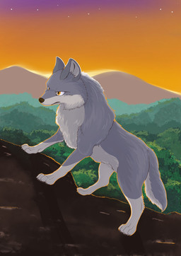 4_toes ambiguous_gender black_nose claws detailed_background feet feral forest fur grey_body grey_fur mountain multicolored_body multicolored_fur nature nature_background orange_eyes outside paws plant quadruped sky solo star sunset tail toes tree tuft white_body yellow_eyes fusau canid canine canis mammal wolf 2022 detailed digital_media_(artwork) hi_res