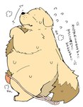 anthro body_hair brown_body bulge chest_hair clothing eyes_closed kemono male overweight overweight_male pubes simple_background solo text underwear white_background gayousi7 canid canine canis domestic_dog mammal 2024 hi_res japanese_text