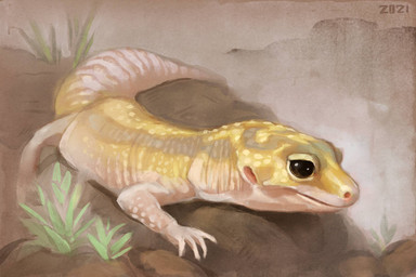 black_eyes feral grey_markings markings on_rock pale_scales plant quadruped realistic_feral rock scales solo yellow_body yellow_scales alexpahomov eublepharid gecko leopard_gecko lizard reptile scalie 2021 3:2 digital_media_(artwork) digital_painting_(artwork) digital_watercolor_(artwork) painting_(artwork) watercolor_(artwork)