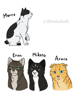 ambiguous_gender black_body black_fur blue_eyes brown_body brown_fur docked_tail facial_markings feral feralized floppy_ears folded_ears fur grey_eyes group head_markings markings mottled multicolored_body multicolored_fur quadruped short_tail stripes tail teal_eyes white_body white_fur yellow_body yellow_fur ouivon attack_on_titan armin_arlert eren_jaeger marco_bodt mikasa_ackerman domestic_cat felid feline felis mammal scottish_fold 2013 4:5