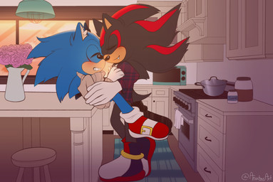anthro blush duo fluffy hug kitchen love male male/male romantic romantic_couple sunset anuchasart sega sonic_the_hedgehog_(series) shadow_the_hedgehog sonic_the_hedgehog eulipotyphlan hedgehog mammal absurd_res hi_res