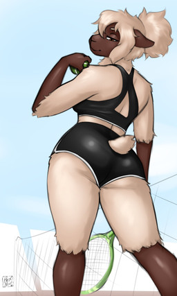 anthro athletic_wear ball biped bottomwear bra breasts butt clothing cocked_hip female female_anthro fur furgonomic_bottomwear furgonomics gym_bottomwear gym_shorts looking_at_viewer looking_back looking_back_at_viewer rear_view short_tail shorts solo sports_bra tail tennis_ball tennis_racket underwear white_body white_fur hexnoid bovid caprine mammal sheep 3:5 absurd_res hi_res