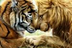 2014 ambiguous_gender barefoot chain close-up eyes_closed feline feral fur grass hi_res jocarra key lion male mammal necklace nude pawpads paws ring tiger whiskers
Rating: Safe
Score: 12
User: forkU
Date: April 18, 2014