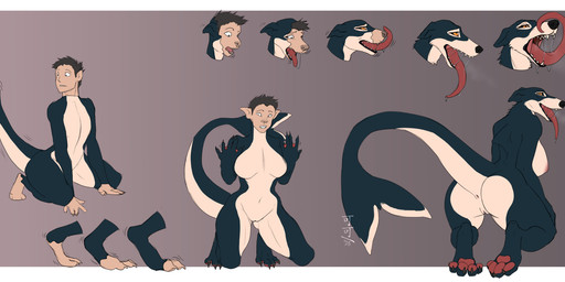 anthro anus areola biped black_body black_hair black_nose bodily_fluids border breasts bulge butt close-up clothed clothed_human clothed_male clothing countershade_butt countershade_face countershade_legs countershade_neck countershade_tail countershade_torso countershading digitigrade female female_anthro front_view gender_transformation genitals growth hair human_to_anthro kneeling legs_together logo long_tongue looking_at_own_hand looking_at_viewer looking_back_at_self male male_human motion_lines mtf_transformation navel nipples non-mammal_breasts non-mammal_hair non-mammal_navel non-mammal_nipples non-mammal_vulva nude nude_anthro nude_female one-piece_swimsuit open_mouth pawpads pink_pawpads plantigrade pointy_ears rear_view saliva saliva_string shark_tail side_view simple_background sitting sitting_on_ground snout snout_growth solo species_transformation spread_legs spreading swimwear tail tail_growth tail_growth_in_pants three-quarter_view tongue transformation transformation_sequence transformative_clothing vulva wetsuit white_body white_border white_countershading year yellow_eyes cocofox aquatic borka_(species) canid canine canis domestic_dog fish human mammal shark 2025 artist_logo colored hi_res shaded