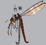 ambiguous_gender antennae_(anatomy) anthro clothing duo hat headgear headwear multi_limb riding_on_back saddle tongue tongue_out wings cupic arthropod crane_fly fly_(animal) insect hi_res