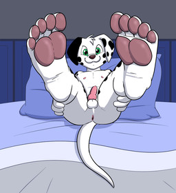 5_toes anatomically_correct anatomically_correct_genitalia anatomically_correct_penis animal_genitalia animal_penis anthro anus balls bed black_body black_ears black_fur black_spots butt canine_genitalia canine_penis erection extended_legs feet foot_focus fur furniture genitals hands_on_legs hands_on_own_legs hands_on_own_thighs hands_on_thighs holding_both_legs holding_both_thighs holding_legs_up humanoid_feet knot legs_up looking_at_viewer looking_forward male markings mismatched_ears monotone_genitals monotone_penis multicolored_ears nipples nude on_bed pawpads penis pink_anus pink_knot pink_penis plantigrade smile soles solo spots spotted_body spotted_ears spotted_fur tail toes two_tone_ears what white_balls white_body white_ears white_fur white_tail young young_anthro young_male compfive canid canine canis dalmatian domestic_dog mammal
